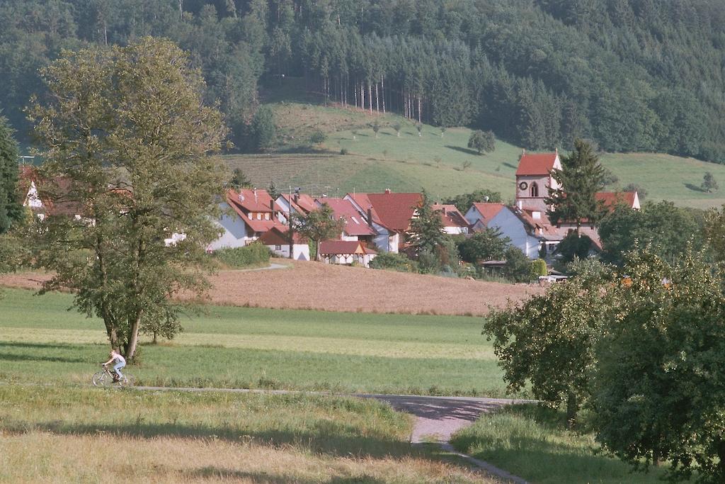 Landgasthof Ochsen Seelbach  Kültér fotó